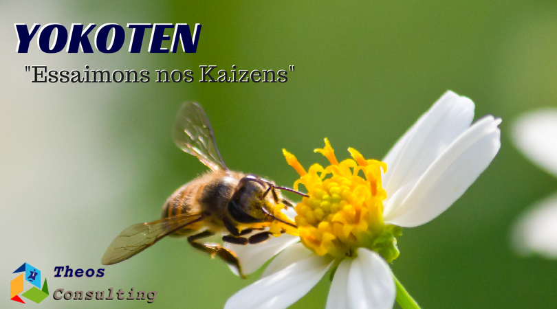 Yokoten, essaimons nos Kaizens